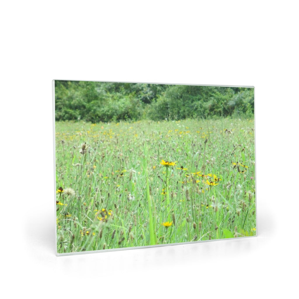 generated-proPreview-1