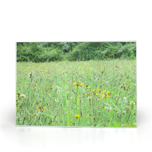 generated-proPreview-0